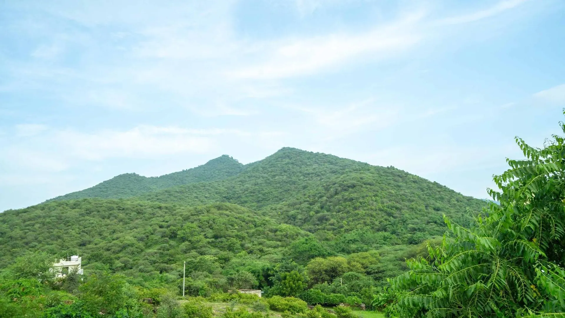 Treebo The Aravali Getaway Hotel Udaipur